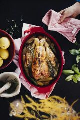 Emile Henry Oval Balık-Buğulama Kapaklı Fırın Kabı 2.2 L Kırmızı