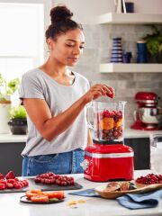 Kitchenaid Artisan 1,4 L Blender 5KSB4026  Medallion Silver-EMS