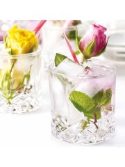 RCR OPERA KRİSTAL VİSKİ BARDAK 6 PRC