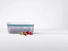 Zwilling Fresh & Save Vakumlu buzdolabı saklama kabı plastik Modern