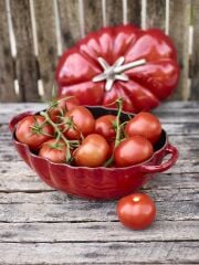 Staub Domates Döküm Tecere 25 cm 3 L