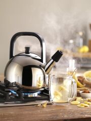 Zwilling Plus Düdüklü Su Isıtıcı 1,6 lt