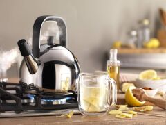 Zwilling Plus Düdüklü Su Isıtıcı 1,6 lt